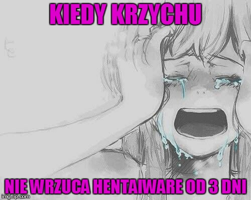 KIEDY KRZYCHU; NIE WRZUCA HENTAIWARE OD 3 DNI | image tagged in crying anime chick | made w/ Imgflip meme maker