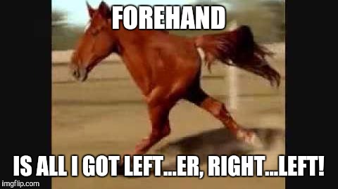 Memes, Horse, Funny | FOREHAND IS ALL I GOT LEFT...ER, RIGHT...LEFT! | image tagged in memes horse funny | made w/ Imgflip meme maker