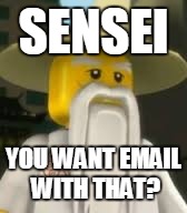 SENSEI; YOU WANT EMAIL WITH THAT? | image tagged in lego ninjago sensei wu | made w/ Imgflip meme maker