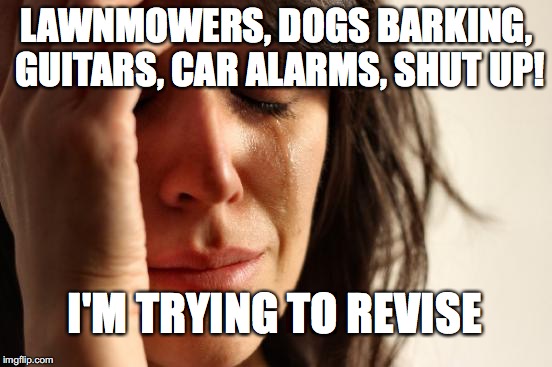 and why is my favorite coffee mug dirty | LAWNMOWERS, DOGS BARKING, GUITARS, CAR ALARMS, SHUT UP! I'M TRYING TO REVISE | image tagged in memes,first world problems,exams,noise | made w/ Imgflip meme maker