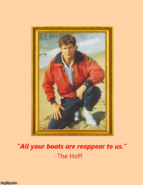 The Hoff knows it's flat | image tagged in flat earth,boats,horizon,water | made w/ Imgflip meme maker