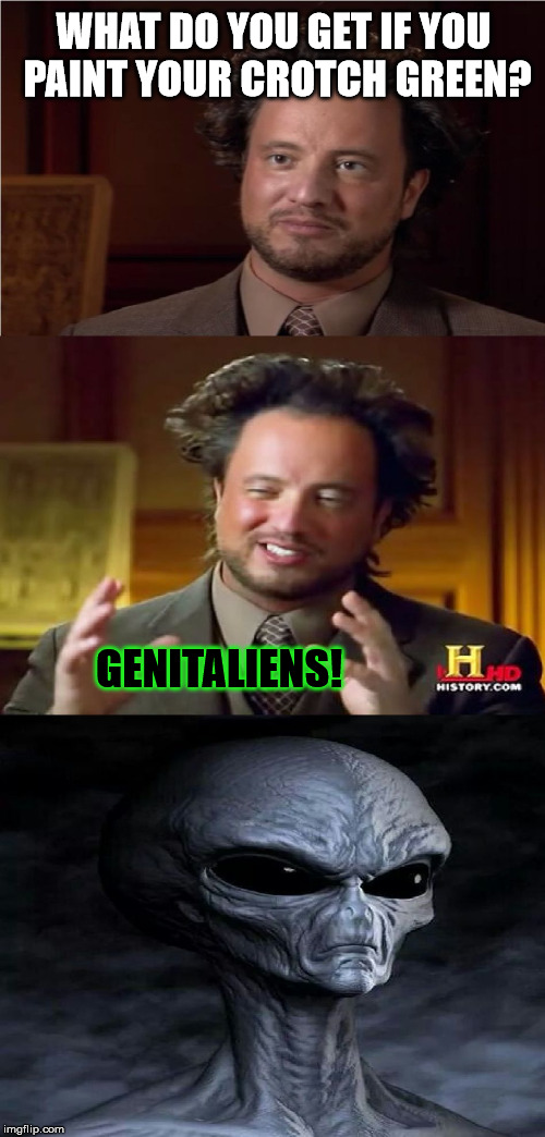 Sorry, I had to . . . | WHAT DO YOU GET IF YOU PAINT YOUR CROTCH GREEN? GENITALIENS! | image tagged in bad pun aliens guy,memes,genitals | made w/ Imgflip meme maker