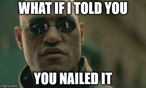 Matrix Morpheus Meme | WHAT IF I TOLD YOU; YOU NAILED IT | image tagged in memes,matrix morpheus | made w/ Imgflip meme maker