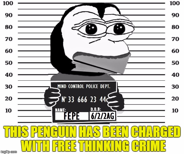 FEPE MUGSHOT | THIS PENGUIN HAS BEEN CHARGED WITH FREE THINKING CRIME | image tagged in flat earth,fepe,mugshot,free speech,thinking | made w/ Imgflip meme maker