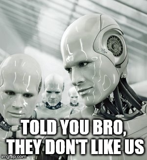 Robots Meme | TOLD YOU BRO, THEY DON'T LIKE US | image tagged in memes,robots | made w/ Imgflip meme maker
