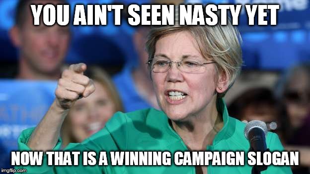 nasty | YOU AIN'T SEEN NASTY YET; NOW THAT IS A WINNING CAMPAIGN SLOGAN | image tagged in elizabeth warren | made w/ Imgflip meme maker