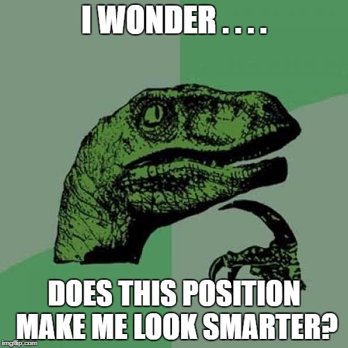 Philosoraptor | I WONDER . . . . DOES THIS POSITION MAKE ME LOOK SMARTER? | image tagged in memes,philosoraptor | made w/ Imgflip meme maker