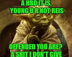 yoda | A HBD IT IS, YOUNG U R NOT REIS; OFFENDED YOU ARE? A SHIT I DON'T GIVE | image tagged in yoda | made w/ Imgflip meme maker