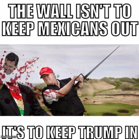 Please feature :) | THE WALL ISN'T TO MEXICANS OUT IT'S TO KEEP TRUMP IN | image tagged in memes,donald trump,build a wall | made w/ Imgflip meme maker