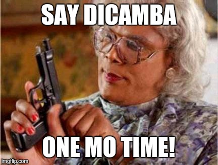 Madea | SAY DICAMBA; ONE MO TIME! | image tagged in madea | made w/ Imgflip meme maker