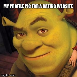 Shrek Sexy Face | MY PROFILE PIC FOR A DATING WEBSITE | image tagged in shrek sexy face | made w/ Imgflip meme maker