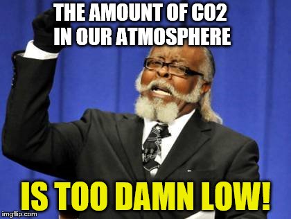 THE AMOUNT OF CO2 IN OUR ATMOSPHERE IS TOO DAMN LOW! | made w/ Imgflip meme maker