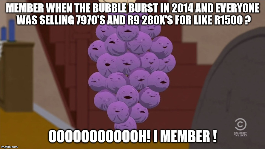 Member Berries | MEMBER WHEN THE BUBBLE BURST IN 2014 AND EVERYONE WAS SELLING 7970'S AND R9 280X'S FOR LIKE R1500 ? OOOOOOOOOOOH! I MEMBER ! | image tagged in memes,member berries | made w/ Imgflip meme maker