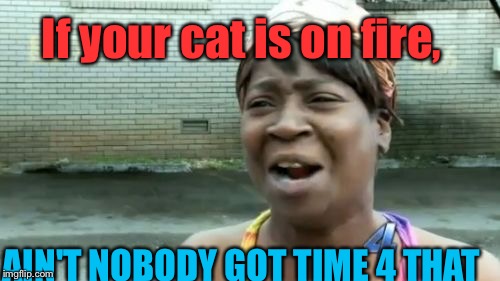 Ain't Nobody Got Time For That | If your cat is on fire, AIN'T NOBODY GOT TIME 4 THAT | image tagged in memes,aint nobody got time for that | made w/ Imgflip meme maker