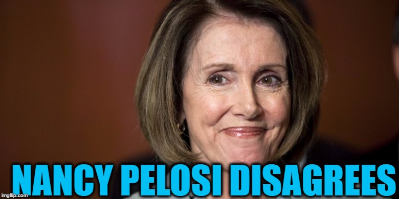 NANCY PELOSI DISAGREES | made w/ Imgflip meme maker