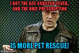 Walken | I GOT THE CAT-SCRATCH-FEVER..              AND THE ONLY PRESCRIPTION; IS MORE PET RESCUE! | image tagged in walken | made w/ Imgflip meme maker