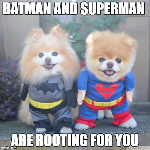 BATMAN AND SUPERMAN; ARE ROOTING FOR YOU | image tagged in dogs | made w/ Imgflip meme maker