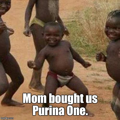 Third World Success Kid Meme | Mom bought us Purina One. | image tagged in memes,third world success kid | made w/ Imgflip meme maker