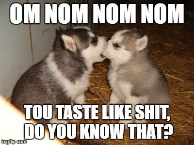 Cute Puppies | OM NOM NOM NOM; TOU TASTE LIKE SHIT, DO YOU KNOW THAT? | image tagged in memes,cute puppies | made w/ Imgflip meme maker