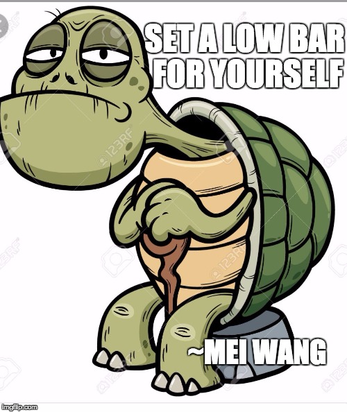 Turtle | SET A LOW BAR FOR YOURSELF; ~MEI WANG | image tagged in turtle | made w/ Imgflip meme maker