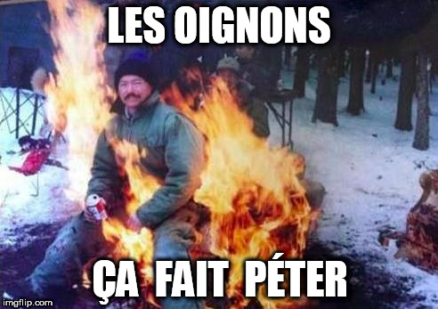 LIGAF Meme | LES OIGNONS; ÇA  FAIT  PÉTER | image tagged in memes,ligaf | made w/ Imgflip meme maker