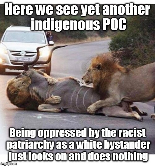 Here we see yet another indigenous POC; Being oppressed by the racist patriarchy as a white bystander just looks on and does nothing | image tagged in cnn sucks,the patriarchy,woke | made w/ Imgflip meme maker