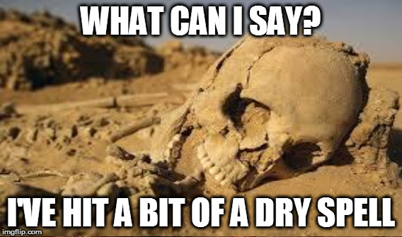 WHAT CAN I SAY? I'VE HIT A BIT OF A DRY SPELL | made w/ Imgflip meme maker