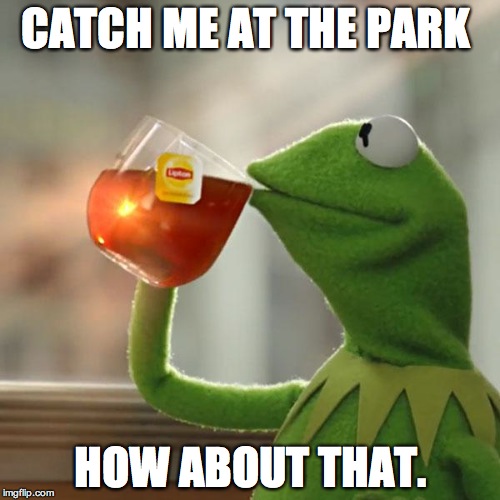 But That's None Of My Business Meme | CATCH ME AT THE PARK; HOW ABOUT THAT. | image tagged in memes,but thats none of my business,kermit the frog | made w/ Imgflip meme maker