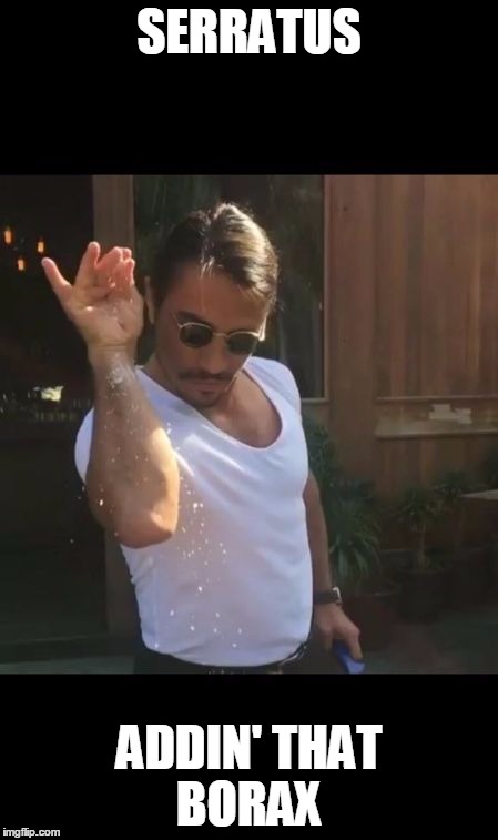 salt bae | SERRATUS; ADDIN' THAT BORAX | image tagged in salt bae | made w/ Imgflip meme maker