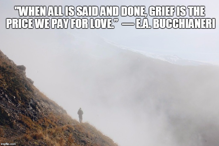 To Love is to eventually grieve. | "WHEN ALL IS SAID AND DONE, GRIEF IS THE PRICE WE PAY FOR LOVE.” 
― E.A. BUCCHIANERI | image tagged in grief,sadness,love | made w/ Imgflip meme maker