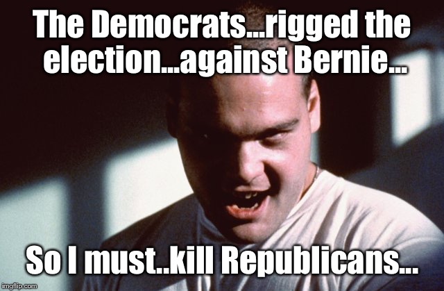Psychotic Snowflakes  | The Democrats...rigged the election...against Bernie... So I must..kill Republicans... | image tagged in psychotic snowflake,social justice warriors | made w/ Imgflip meme maker