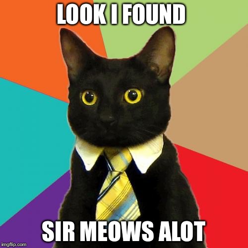 Business Cat Meme | LOOK I FOUND; SIR MEOWS ALOT | image tagged in memes,business cat | made w/ Imgflip meme maker