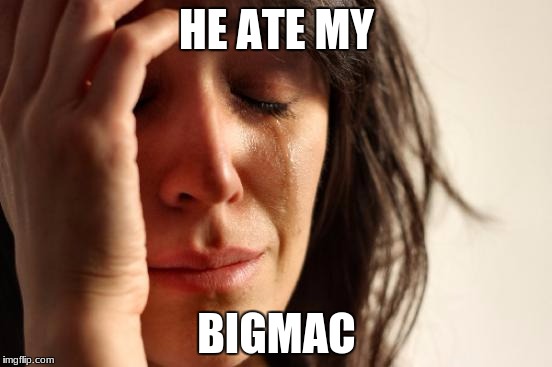 First World Problems | HE ATE MY; BIGMAC | image tagged in memes,first world problems | made w/ Imgflip meme maker