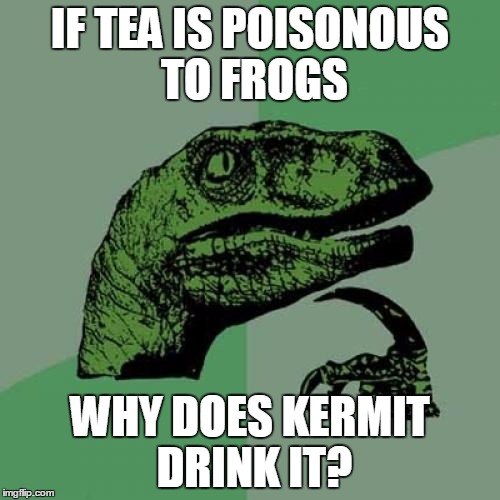 Philosoraptor Meme | IF TEA IS POISONOUS TO FROGS; WHY DOES KERMIT DRINK IT? | image tagged in memes,philosoraptor | made w/ Imgflip meme maker