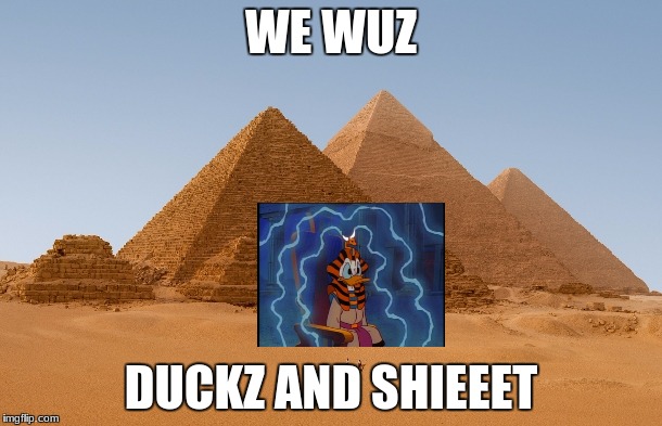 WE WUZ; DUCKZ AND SHIEEET | image tagged in we wuz ducks | made w/ Imgflip meme maker