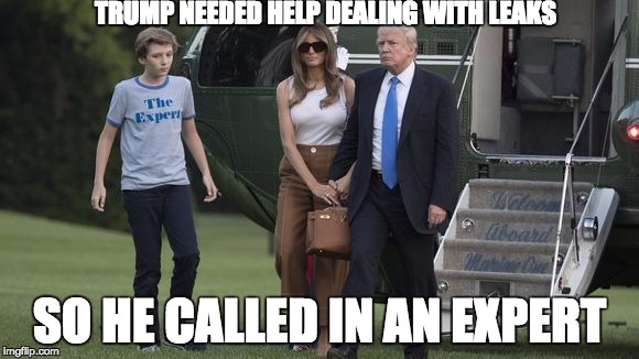 Barron Trump | TRUMP NEEDED HELP DEALING WITH LEAKS; SO HE CALLED IN AN EXPERT | image tagged in barron trump | made w/ Imgflip meme maker