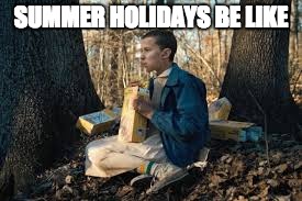 eggos | SUMMER HOLIDAYS BE
LIKE | image tagged in eggos | made w/ Imgflip meme maker