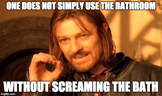 One Does Not Simply Meme | ONE DOES NOT SIMPLY USE THE BATHROOM; WITHOUT SCREAMING THE BATH | image tagged in memes,one does not simply | made w/ Imgflip meme maker