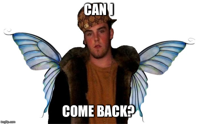 Can he? | CAN I; COME BACK? | image tagged in downvote fairy,memes | made w/ Imgflip meme maker