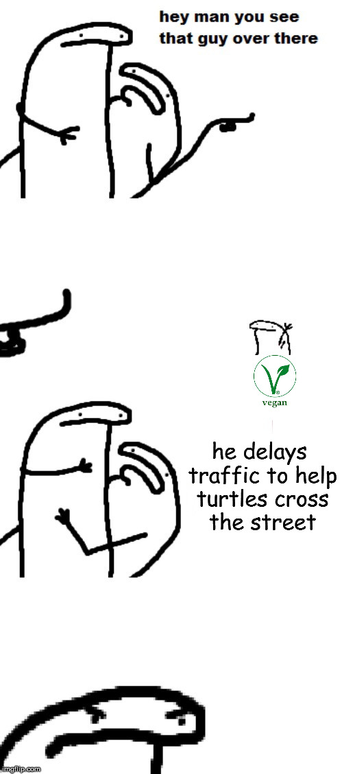 Hey man you see that guy over there | he delays traffic to help turtles cross the street | image tagged in hey man you see that guy over there | made w/ Imgflip meme maker