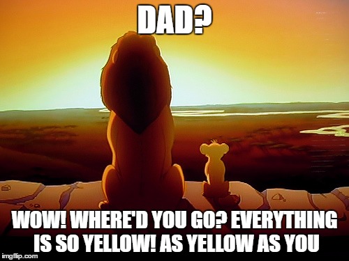 Lion King Meme | DAD? WOW! WHERE'D YOU GO? EVERYTHING IS SO YELLOW! AS YELLOW AS YOU | image tagged in memes,lion king | made w/ Imgflip meme maker
