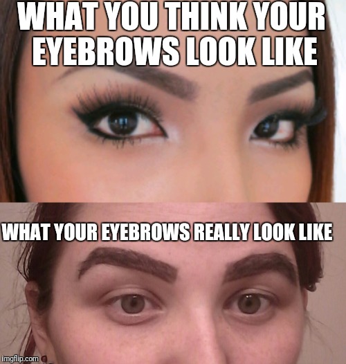 WHAT YOU THINK YOUR EYEBROWS LOOK LIKE; WHAT YOUR EYEBROWS REALLY LOOK LIKE | image tagged in eyebrows,eyebrows on fleek,beauty,looks good to me,makeup,darkey | made w/ Imgflip meme maker
