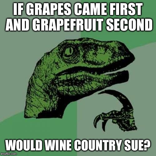 Philosoraptor Meme | IF GRAPES CAME FIRST AND GRAPEFRUIT SECOND; WOULD WINE COUNTRY SUE? | image tagged in memes,philosoraptor | made w/ Imgflip meme maker