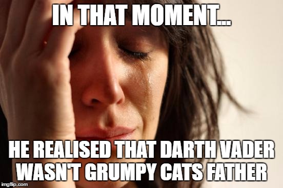 First World Problems Meme | IN THAT MOMENT... HE REALISED THAT DARTH VADER WASN'T GRUMPY CATS FATHER | image tagged in memes,first world problems | made w/ Imgflip meme maker