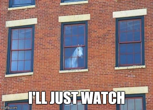 Memes     horse  | I'LL JUST WATCH | image tagged in memes     horse | made w/ Imgflip meme maker