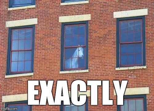 Memes     horse  | EXACTLY | image tagged in memes     horse | made w/ Imgflip meme maker