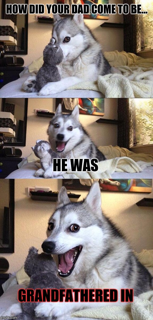 Bad Pun Dog Meme | HOW DID YOUR DAD COME TO BE... HE WAS; GRANDFATHERED IN | image tagged in memes,bad pun dog,happy father's day,lol so funny,grandchildren,fifties family fun | made w/ Imgflip meme maker