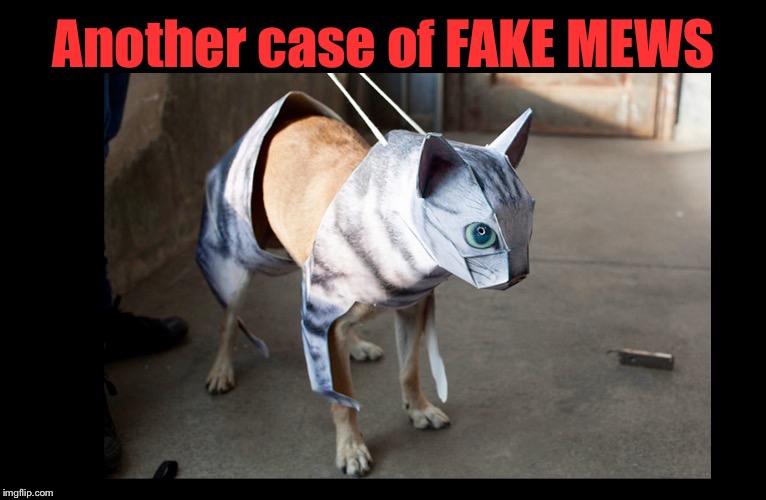 Fake mews | Another case of FAKE MEWS | image tagged in cats,dogs,fake news | made w/ Imgflip meme maker