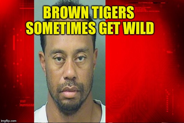 BROWN TIGERS SOMETIMES GET WILD | made w/ Imgflip meme maker