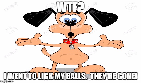 My balls are gone | WTF? I WENT TO LICK MY BALLS.  THEY'RE GONE! | image tagged in lick balls,wtf | made w/ Imgflip meme maker